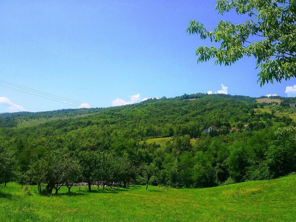 Gaggio Montano Il Mio Rifugioゲストハウス エクステリア 写真